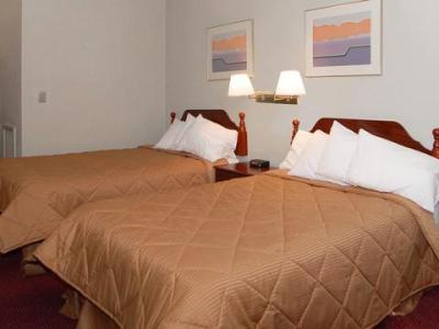 Comfort Metro Airport 3* Romulus