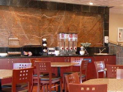Comfort Metro Airport Inn