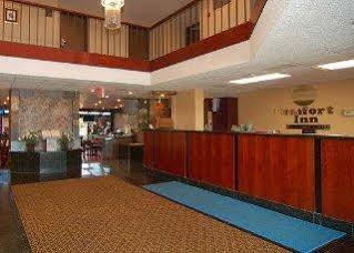 Inn Comfort Metro Airport 3*