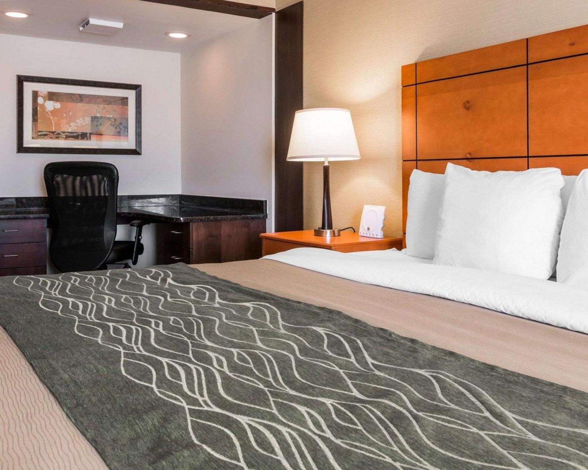 Comfort Metro Airport Mini-hôtel 3*